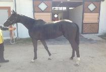 �����ǹٴ� (YEONGGWANGUI BADA) ����