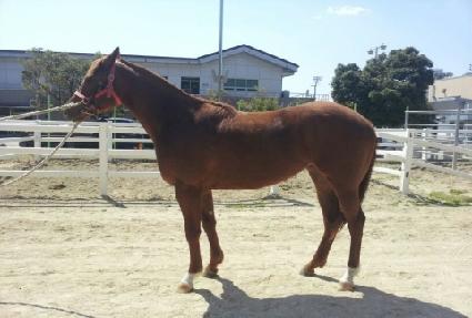 ������� ����