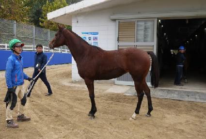 ��帶�� ����