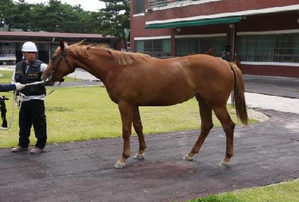 ����� ����