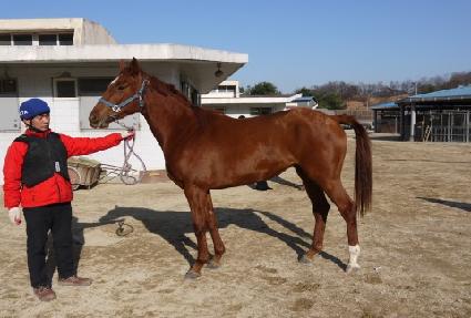 ��õ�� ����