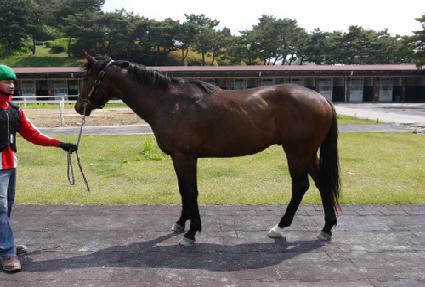 ������ ����