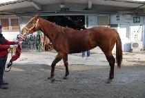 �ǾƳ���� (PIANO DANCER) ����