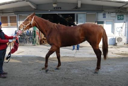 �ǾƳ���� ����