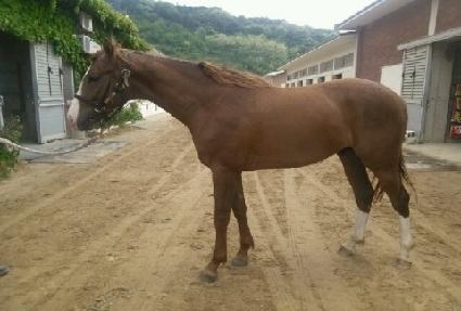 ���������� ����