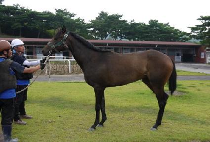 �뼺���� ����