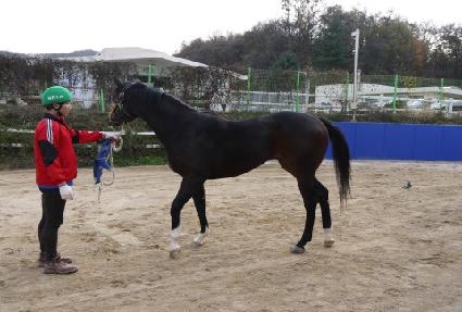 ��������� ����