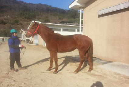 ŷ�ڵ� ����