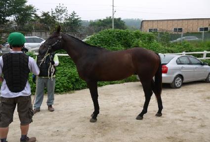 ��������� ����