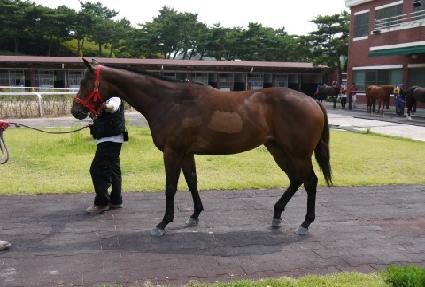 ����ũ�ε� ����