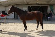 �������� (JINMYEONGJIJON) ����