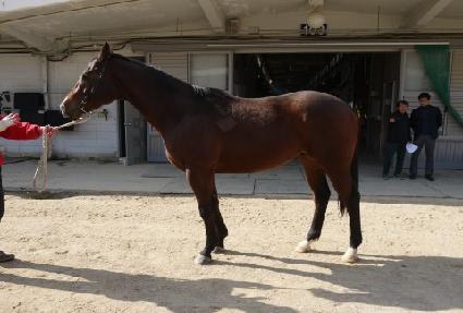 �������� ����