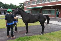 ������� (JANGSANJEWANG) ����