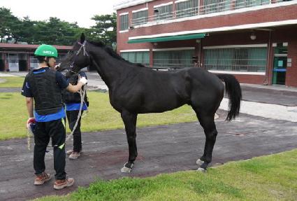 ������� ����