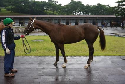 ��ƼŸ�� ����