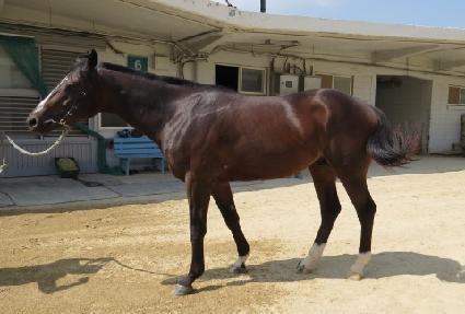 �̱��缮 ����