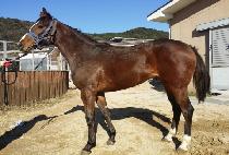 �������� (GARAK YEOWANG) ����