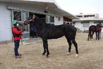 ������ǳ (GAEUL DANPUNG) ����