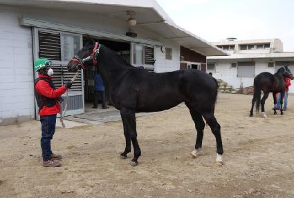 ������ǳ ����