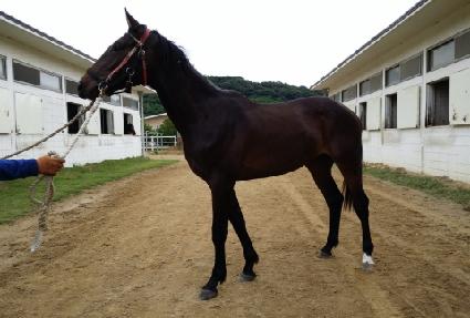 ���Ӱ�ž ����