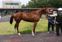 Ŭ������ (CLEAN UP QUEEN) ����