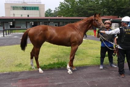 Ŭ������ ����