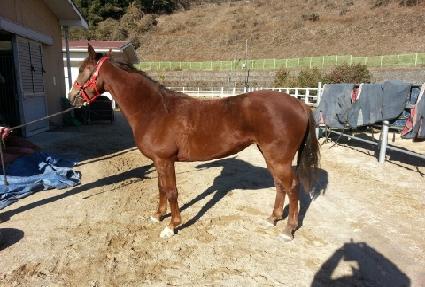 �����ǲ� ����