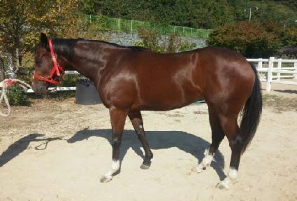 �޸������� ����