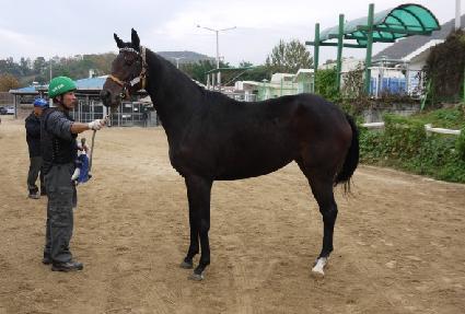 ����Ǯ�� ����