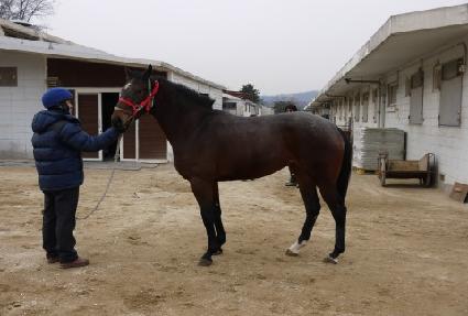 ����Ʈ���� ����