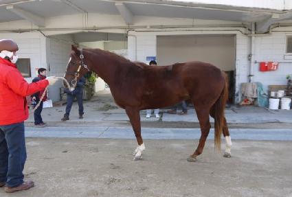 ���̺���� ����