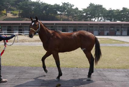 ����õ�� ����