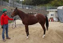 ������� (HUIMANG ROCKET) ����