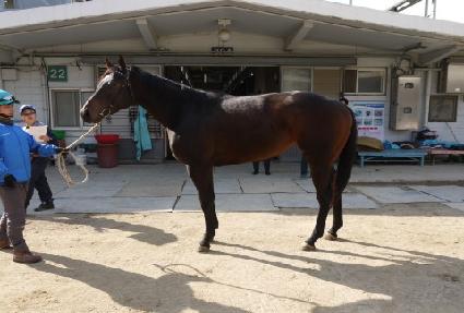 �Ϻ��� ����