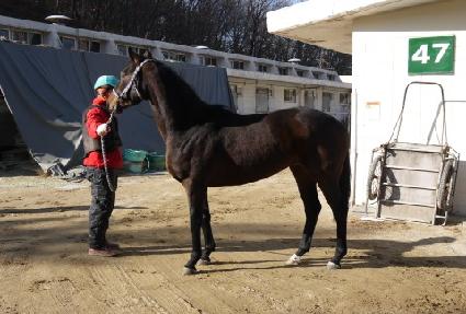 ����Ư�� ����