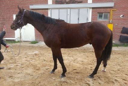 ����ǿ��� ����