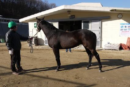 �޵��� ����