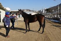 ������ (EUTTEUM QUEEN) ����