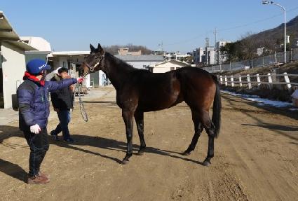 ������ ����