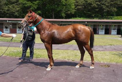 �ƿ�Ĺ ����