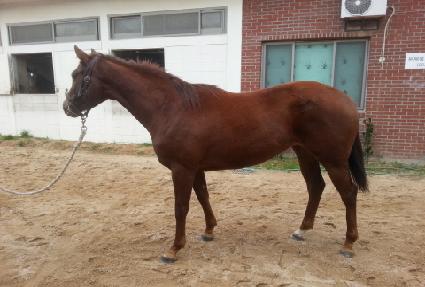 ��ܿ���ġ ����