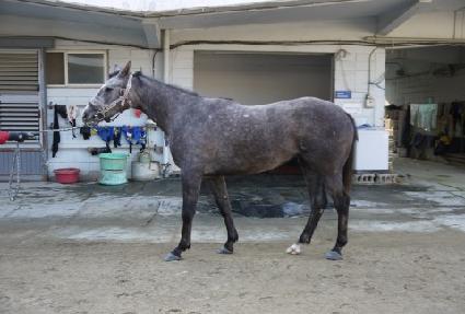 �����߳��� ����