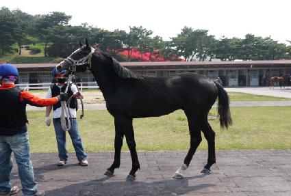 ��� ����