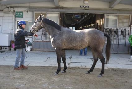 �����̾� ����