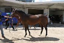 ����ũ���� (TAKE CHANCE) ����