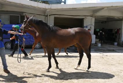 ����ũ���� ����