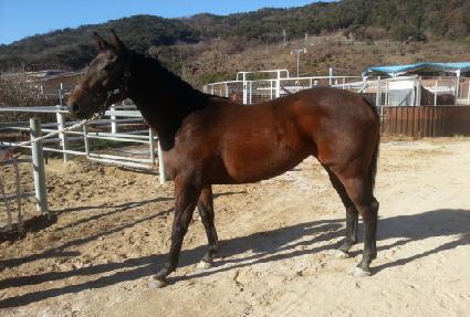 �ε��Ÿ ����