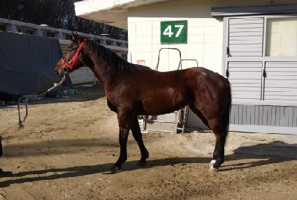 ȯ���Ǻ� ����