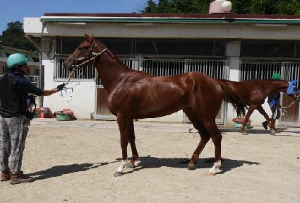 ������� ����