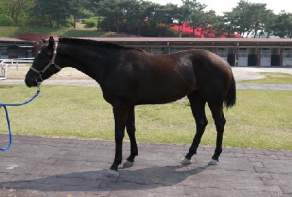 ����� ����